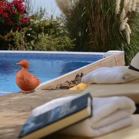 With One Bedroom In Las Rosas With Wonderful Sea View Private Pool Enclosed Garden 10 Km From The Beach 别墅 Las Rosas (Arona, Tenerife)